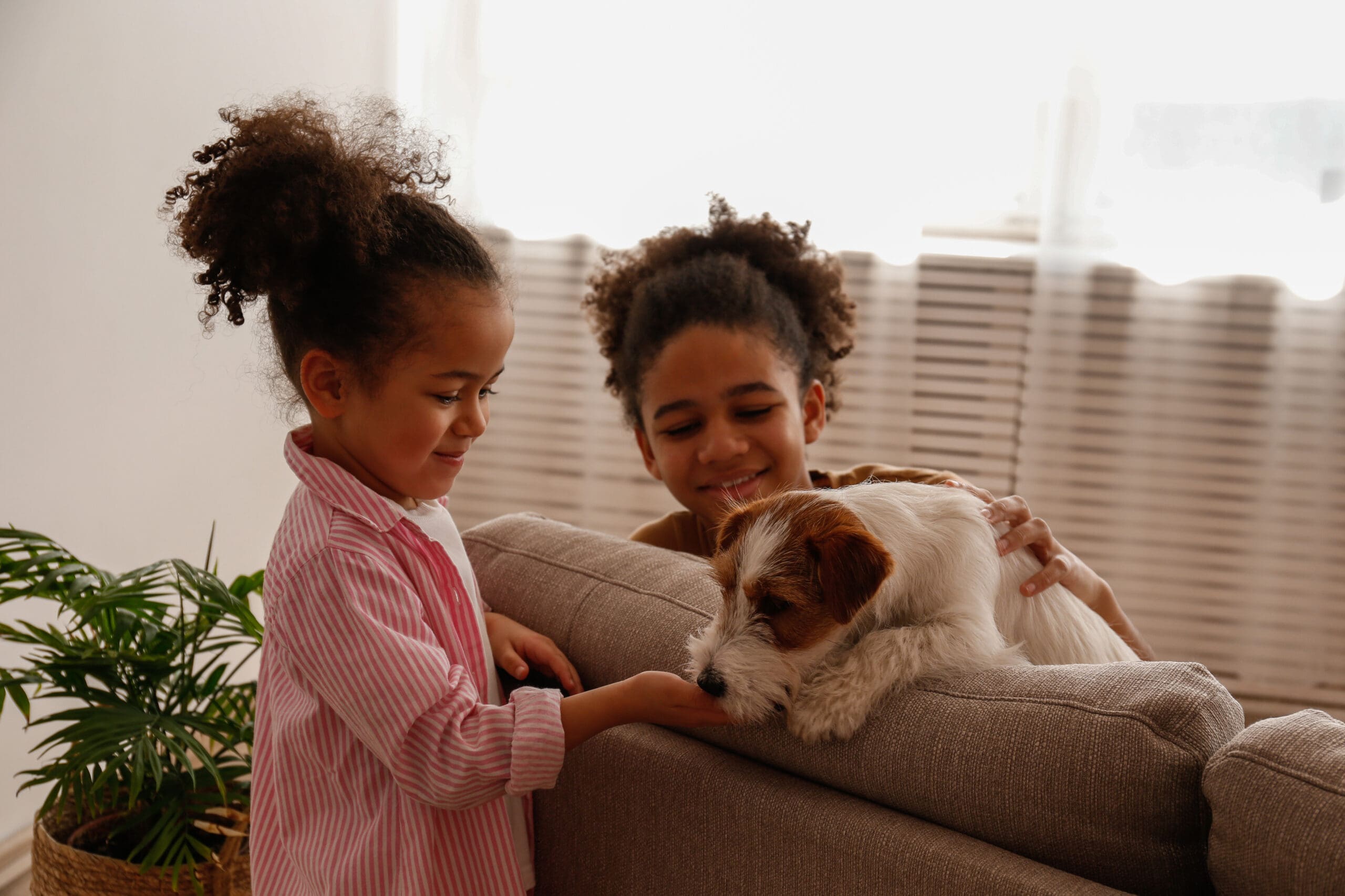 children-and-pets
