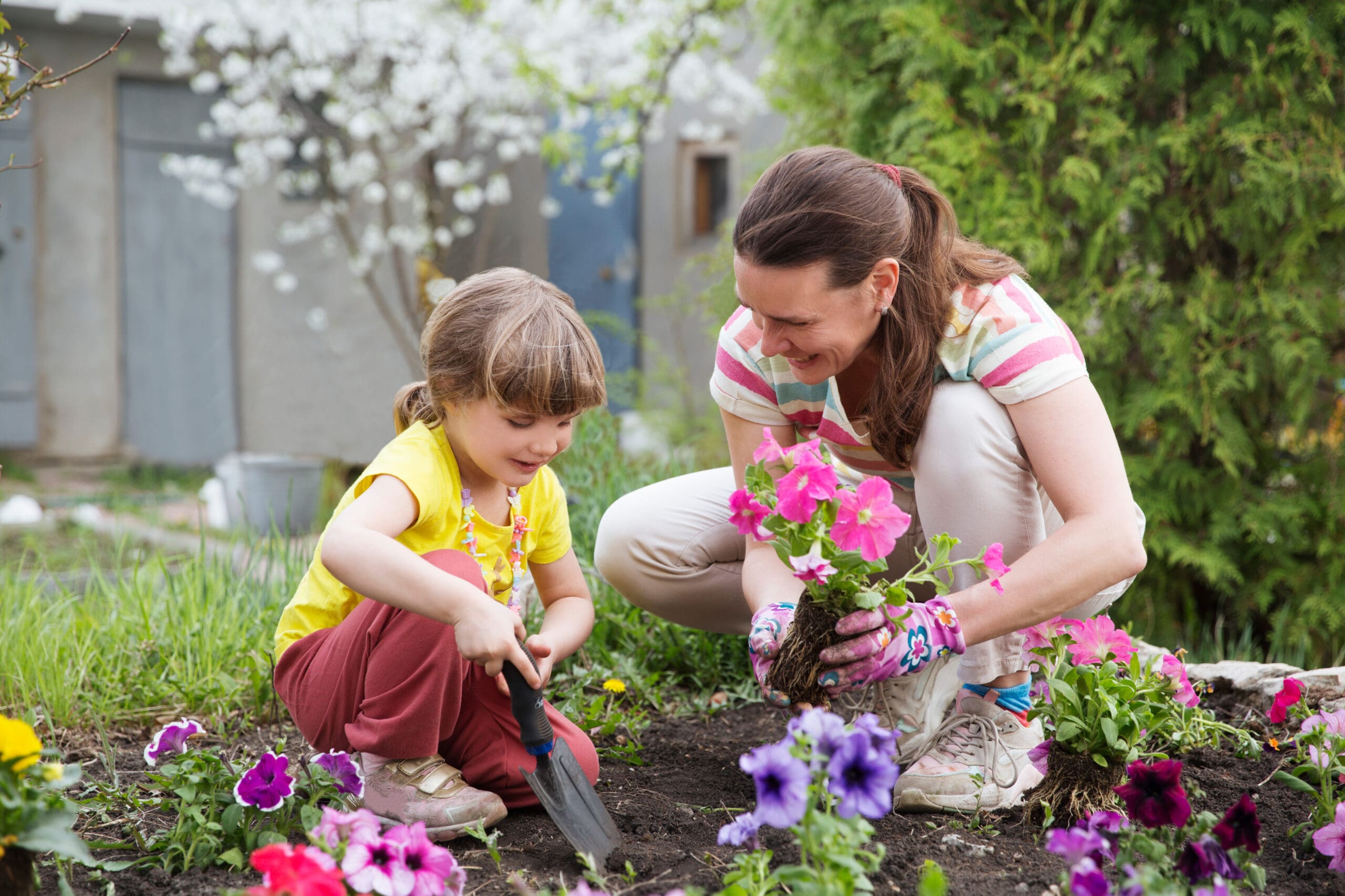 family garden